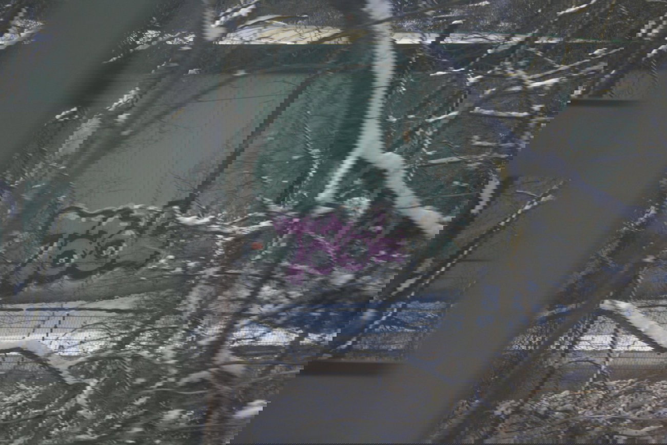 Graffiti Bombing - Photo by Manfredkarlheinz