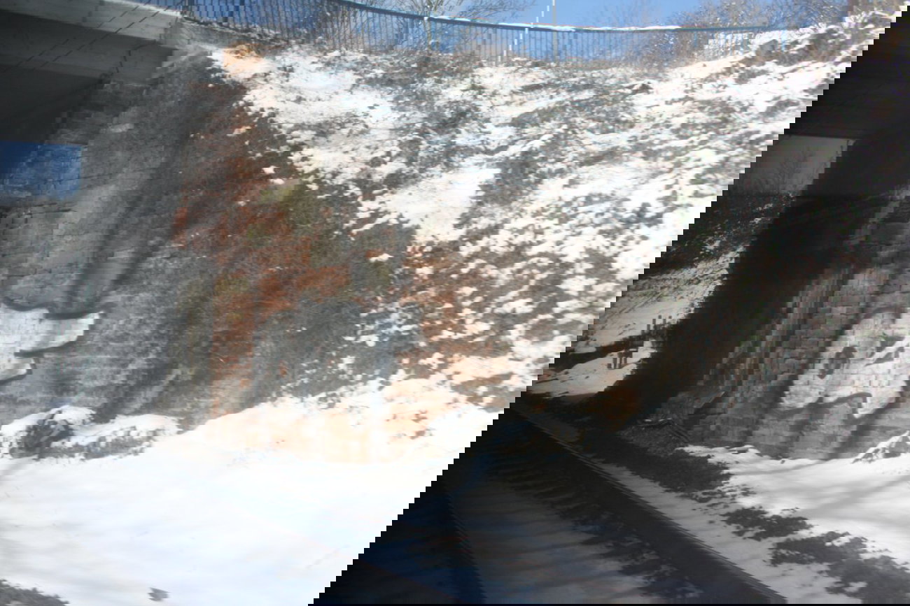 Graffiti Bombing - Photo by Manfredkarlheinz