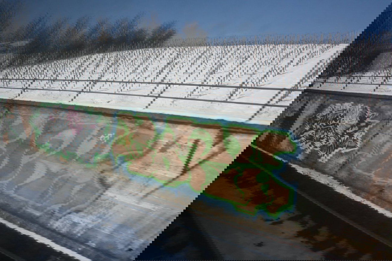 Graffiti Bombing - Photo by Manfredkarlheinz