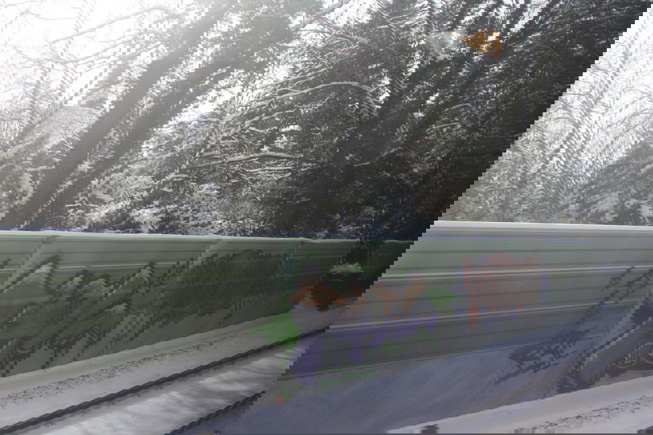 Graffiti Bombing - Photo by Manfredkarlheinz