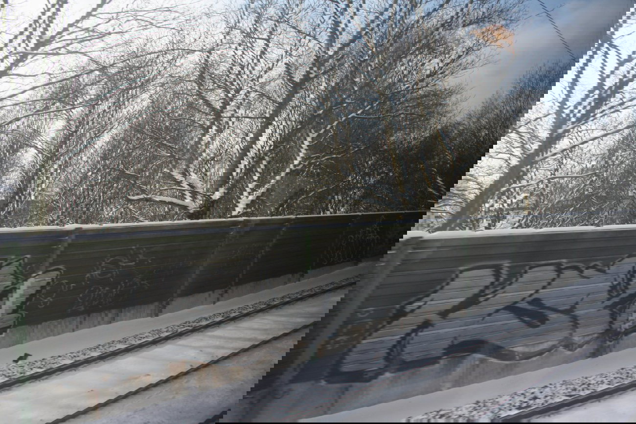 Graffiti Bombing - Photo by Manfredkarlheinz