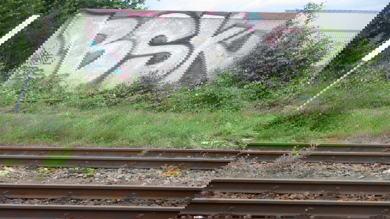 Graffiti Bombing - Photo by Manfredkarlheinz