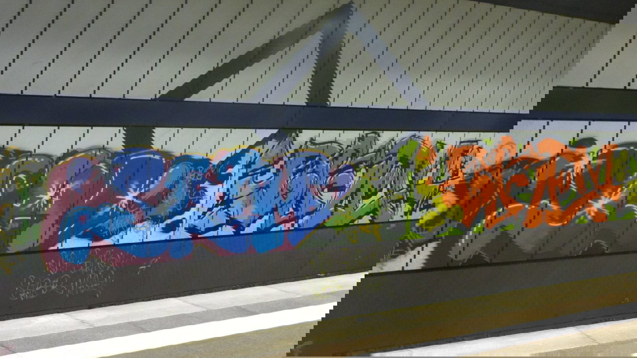 Graffiti Bombing - Photo by Manfredkarlheinz