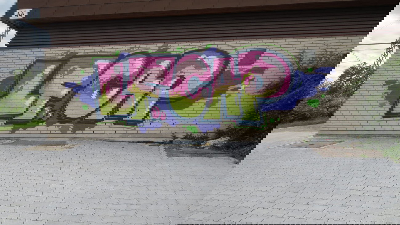 Graffiti Bombing - Photo by Manfredkarlheinz