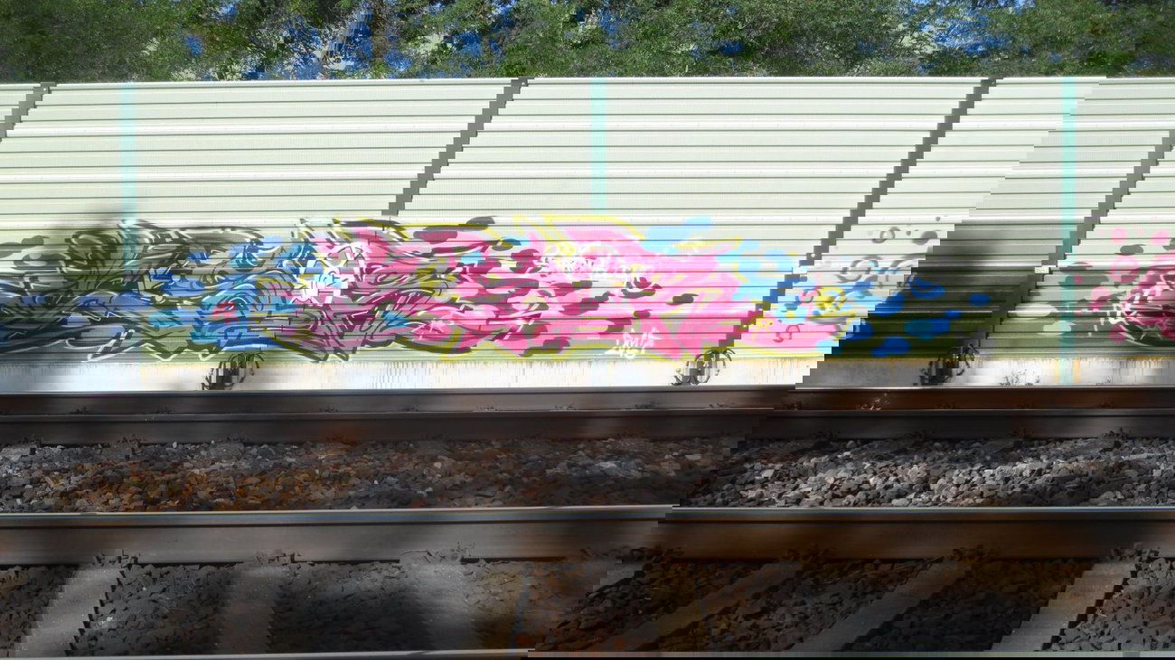 Graffiti Bombing - Photo by Manfredkarlheinz