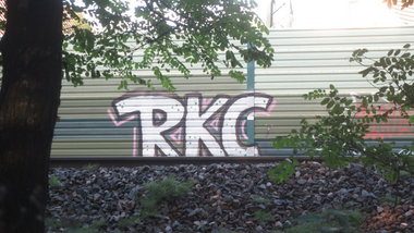 Graffiti Bombing - Photo by Manfredkarlheinz