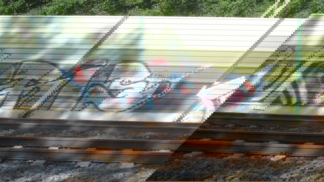 Graffiti Bombing - Photo by Manfredkarlheinz