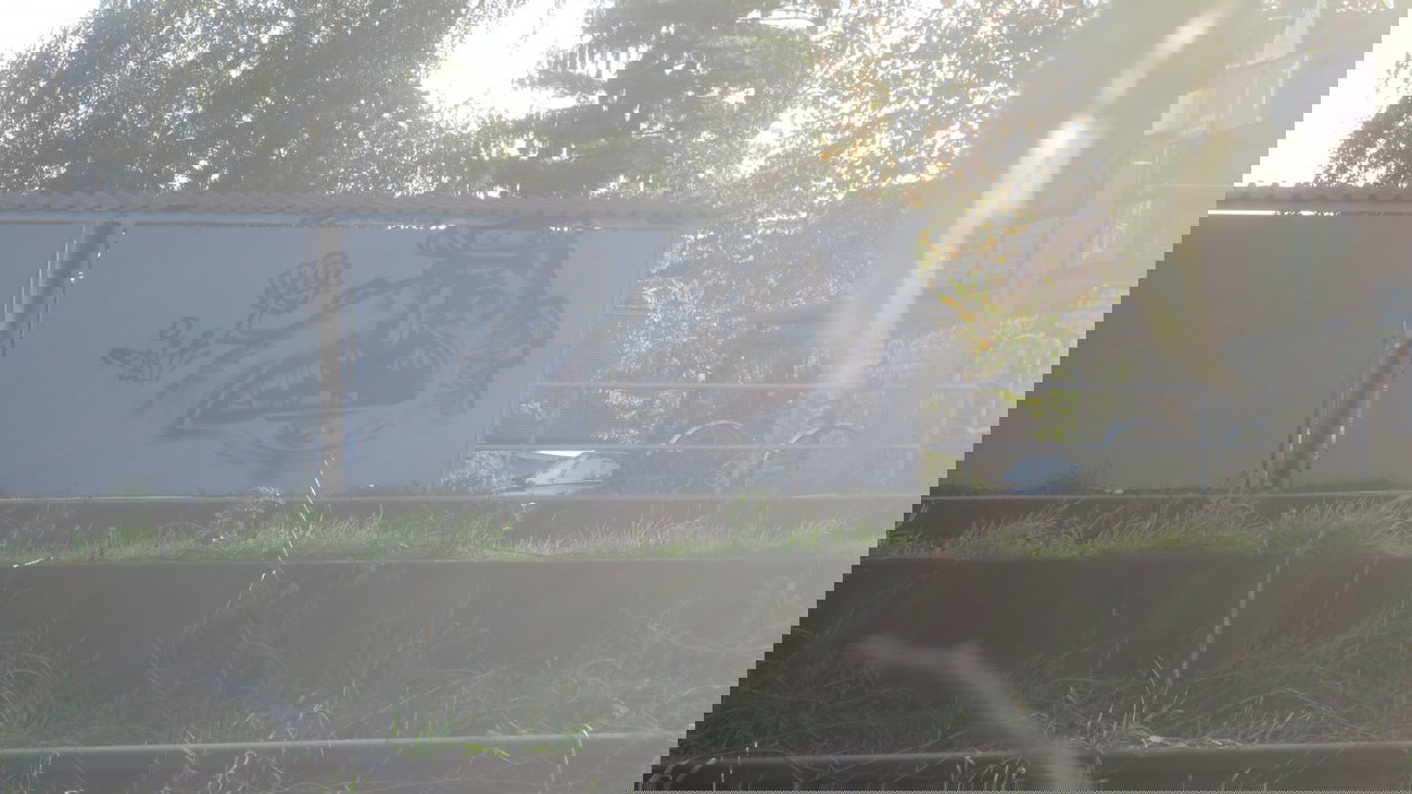 Graffiti Bombing - Photo by Manfredkarlheinz