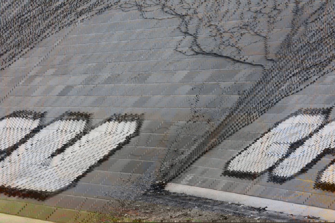 Graffiti Wall - Photo by Manfredkarlheinz