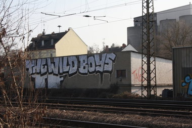 Graffiti Bombing - Photo by Manfredkarlheinz