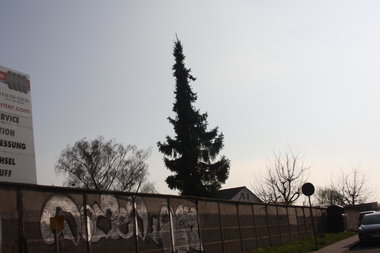 Graffiti Bombing - Photo by Manfredkarlheinz