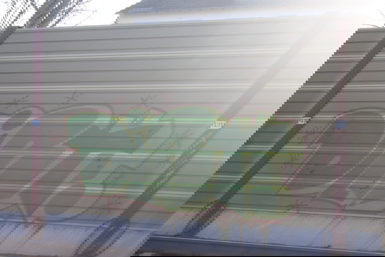 Graffiti Bombing - Photo by Manfredkarlheinz