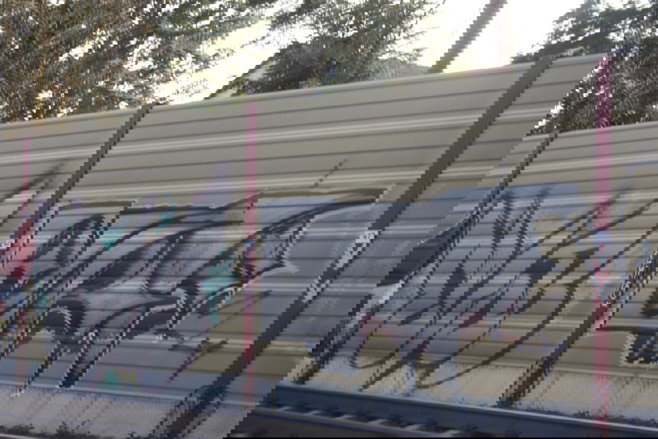 Graffiti Bombing - Photo by Manfredkarlheinz