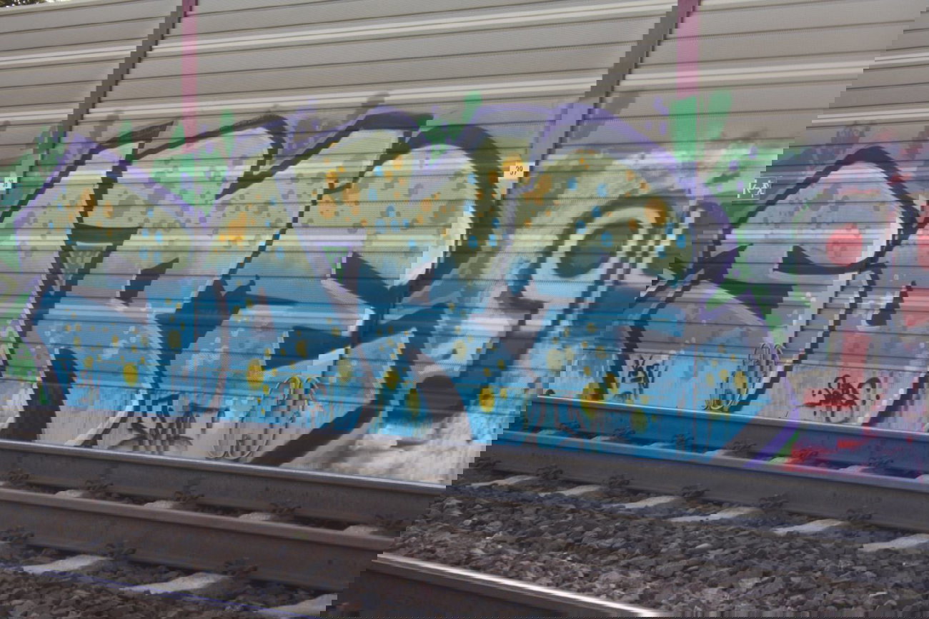 Graffiti Bombing - Photo by Manfredkarlheinz