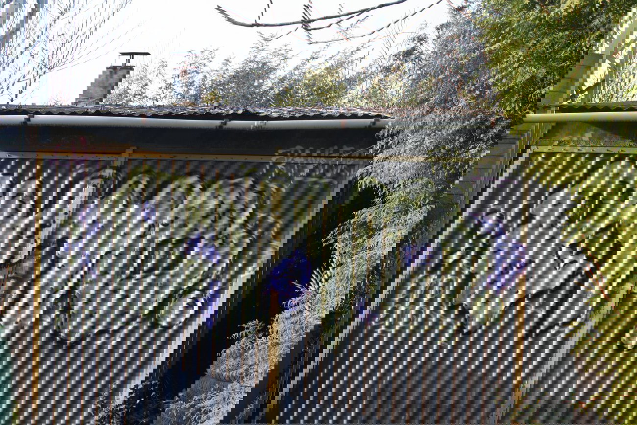 Graffiti Bombing - Photo by Manfredkarlheinz