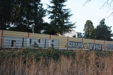 Graffiti Bombing - Photo by Manfredkarlheinz