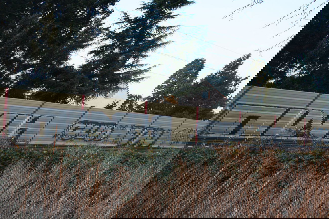 Graffiti Bombing - Photo by Manfredkarlheinz