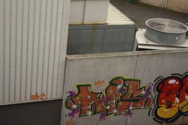 Graffiti Bombing - Photo by Manfredkarlheinz