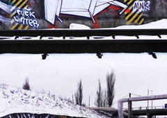 Photo #16861 by Belt