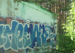 Photo #7136 by AndreySock