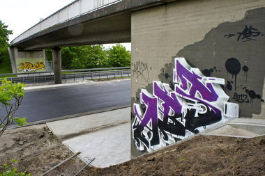 Graffiti Bombing - Photo by Marieundjana - abs (2012)