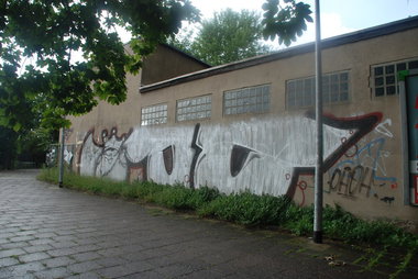 Graffiti Bombing - Photo by Marieundjana - oo