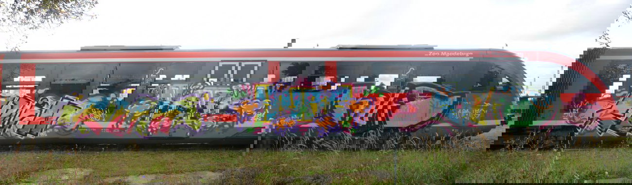 Graffiti Train - Photo by Marieundjana - ruin, hure, kurs