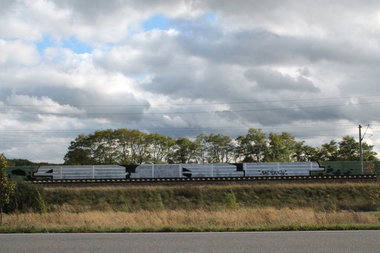 Graffiti Bombing - Photo by Marieundjana - 481