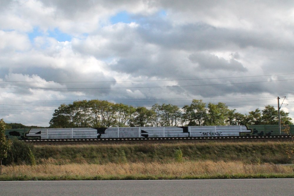 Graffiti Bombing - Photo by Marieundjana - 481