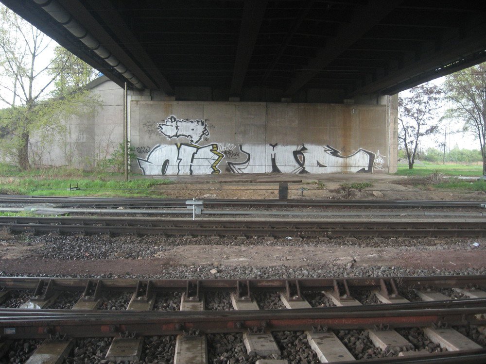 Graffiti Bombing - Photo by Marieundjana - oh, iq, md