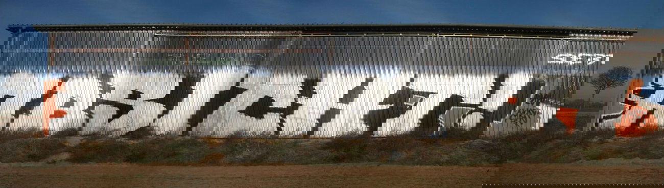 Graffiti Bombing - Photo by Marieundjana - abs