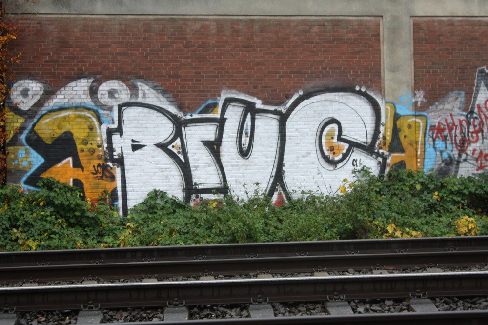 Graffiti Bombing - Photo by Marieundjana - bruc