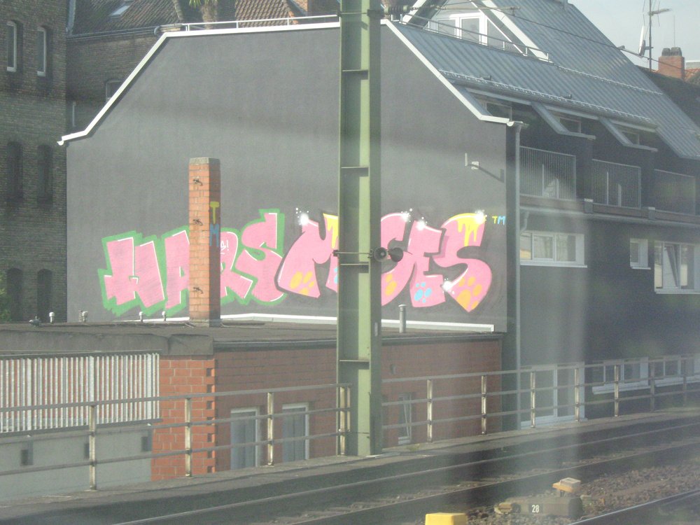 Graffiti Bombing - Photo by Marieundjana - wars, moses