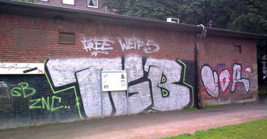Graffiti Bombing - Photo by Marieundjana - tgb, udr