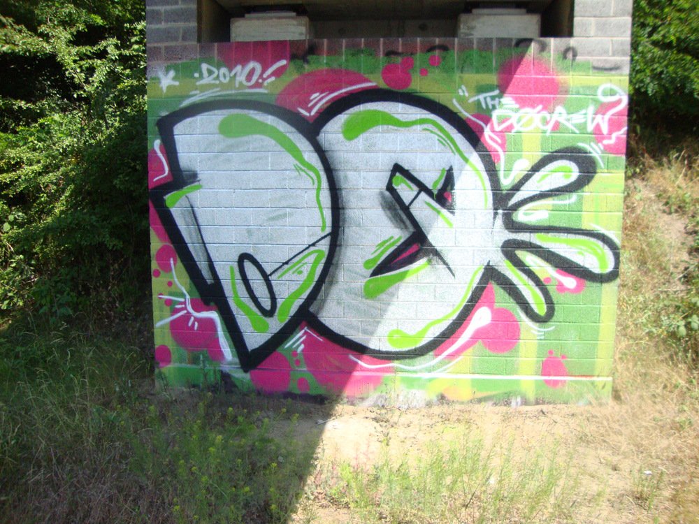 Graffiti Bombing - Photo by Marieundjana