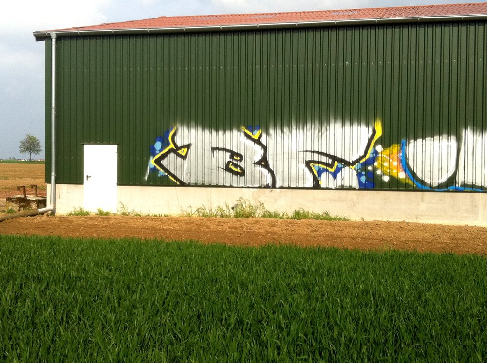Graffiti Bombing - Photo by Marieundjana - bf