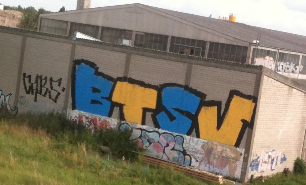 Graffiti Bombing - Photo by Marieundjana - btsv