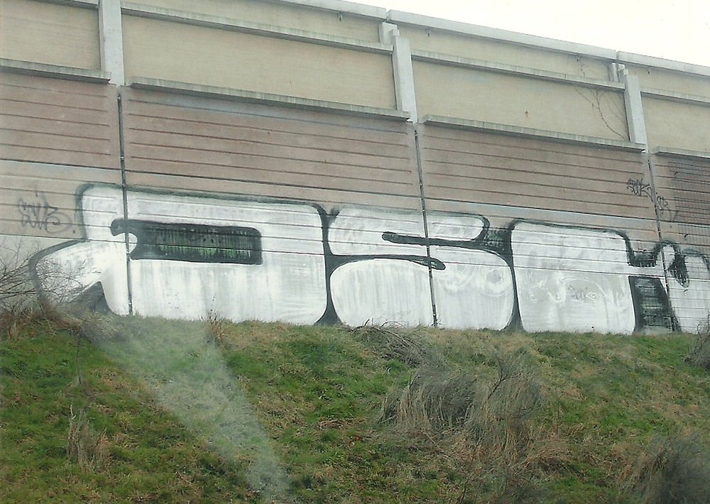 Graffiti Bombing - Photo by Marieundjana - qsk