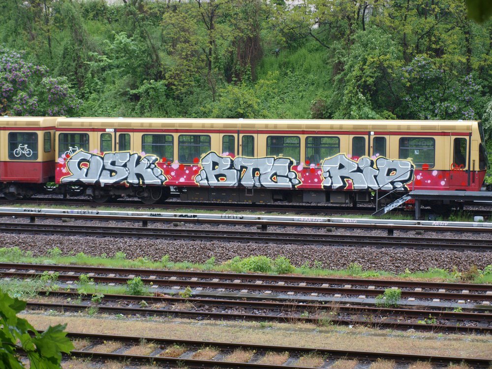 Graffiti Train - Photo by Marieundjana - qsk, btc