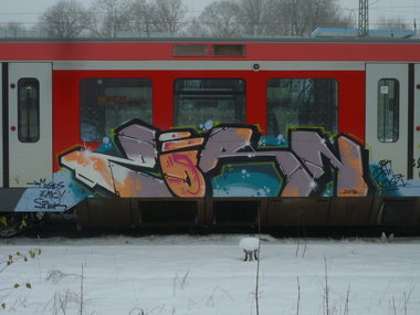 Graffiti Train - Photo by Marieundjana - zorn