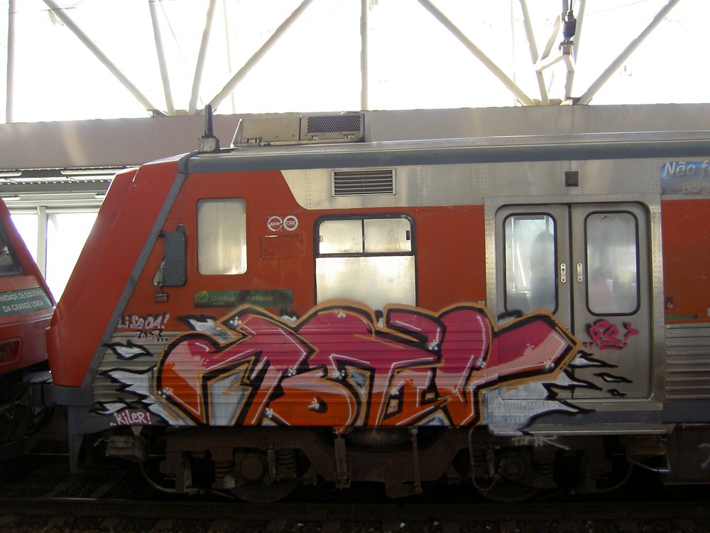 Graffiti Train - Photo by Marieundjana - motiv