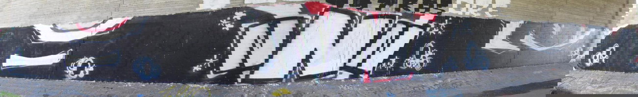 Graffiti Bombing - Photo by Marieundjana - ons