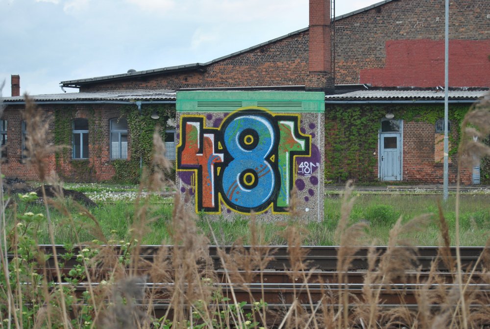 Graffiti Bombing - Photo by Marieundjana - 481