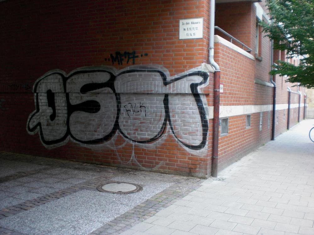 Graffiti Bombing - Photo by Marieundjana - qsk