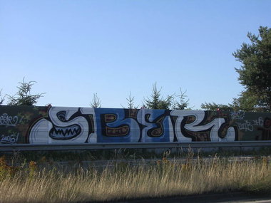 Graffiti Bombing - Photo by Marieundjana - sber