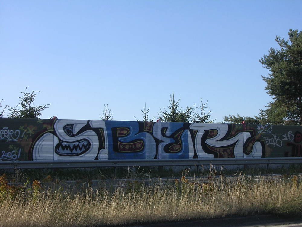 Graffiti Bombing - Photo by Marieundjana - sber