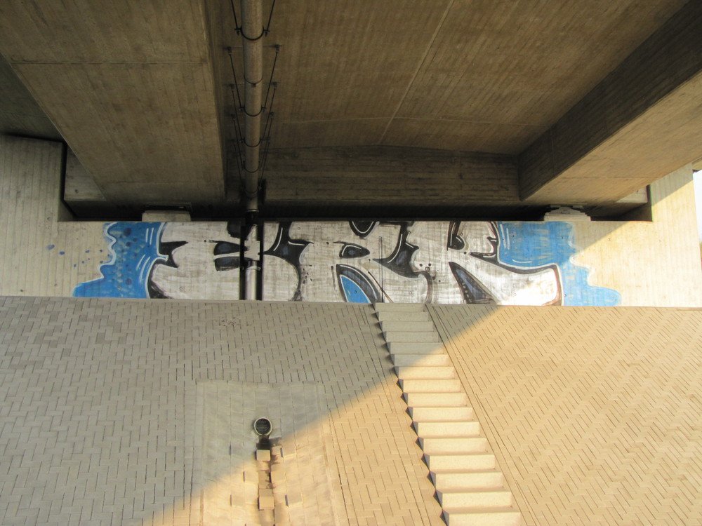 Graffiti Bombing - Photo by Marieundjana - brk