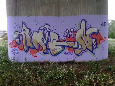 Graffiti Bombing - Photo by Marieundjana - ahorn