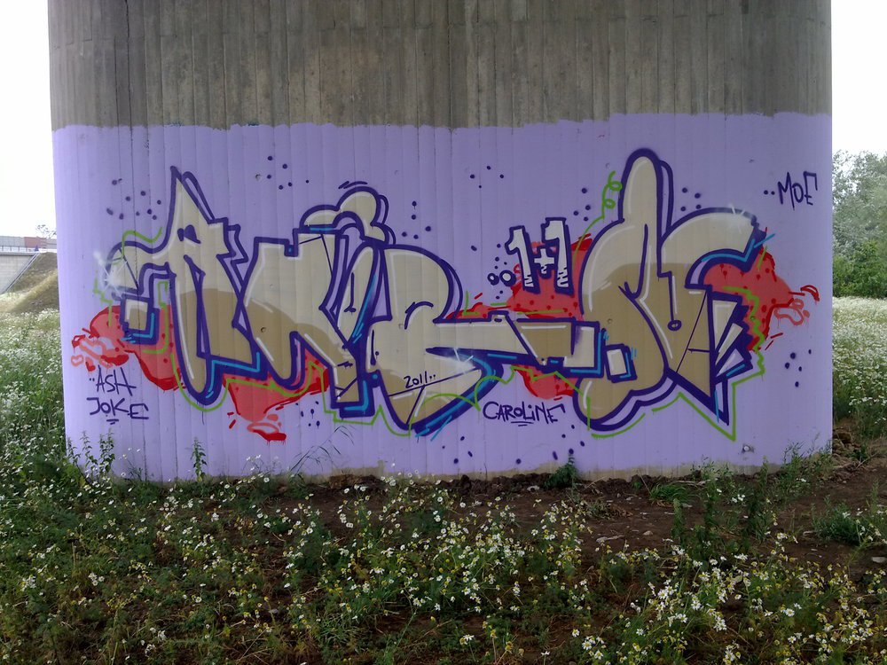 Graffiti Bombing - Photo by Marieundjana - ahorn