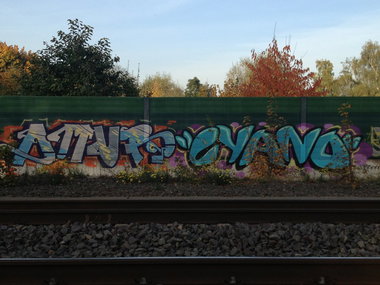 Graffiti Bombing - Photo by Marieundjana - amur, cyano
